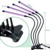Grow Healthy Indoor Plants With LED Grow Lights - 10 Level Brightness, Auto ON/Off Timer, And 3 Switch Red/Blue Modes!